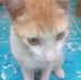 Roger Gongora - Facebook