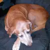 Roger Goodrich - @roger.goodrich - TikTok