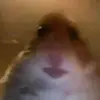 user6469609654987 - @rogergowens - TikTok
