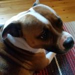 Roger Graff - @roger.graff04 - Instagram