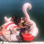 Roger Grubb - @playa_surfer - Instagram