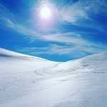 Roger Grubben - @rogergrubben - Instagram