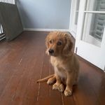 Roger Guest - @rogerguest6764 - Instagram