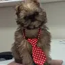Roger Guy - @rogguy - TikTok