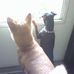 Roger Haack - Facebook
