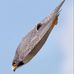 Roger Haack - Facebook