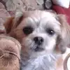 Roger - @rogerhhaak - TikTok