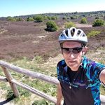 Roger van den Haak - @rogervandenhaak - Instagram