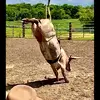 Roger Halderson - @rogerhalderson - TikTok