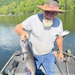 Roger Hamlin - @oldbiker47 - Instagram