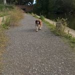 Roger Hardwick - @rogerbhardwick - Instagram