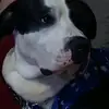 Roger Hargis - @rogerhargis597 - TikTok