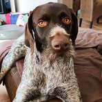 Roger Heck - Facebook