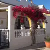 Roger Heimdal - @roger.heimdal - TikTok