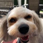 Roger Helderle - @rogerhelderle - Instagram