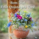 Rogerio helmet - @rogeriohelmernunes - Instagram