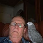 Roger Henningsson - @roger.henningsson - Instagram