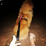 Roger Alban Henning - @rogeralbanhenning - Instagram