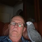 Roger Henningsson - @roger.henningsson - Instagram