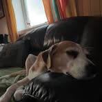 Ken Roger Henriksen - Facebook