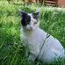 Roger Hermann - Facebook