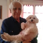 Roger Heron - Facebook