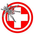 Roger Herrmann - @swisstheraphosidae - Instagram