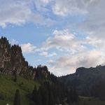 Roger Herzog - @rogerherzog1 - Instagram