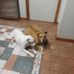 Roger Hinkle - Facebook