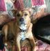 Roger Hinkle - Facebook