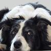 Roger Hocking835 - @rogerhocking - TikTok