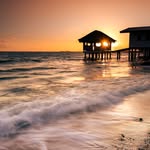 Roger Hodges - @rogerhodges448491 - Instagram