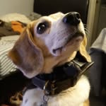 Roger Hoff - @rgrhoff_6969 - Instagram
