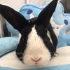 Roger & Horst - @roger.and.horst - TikTok