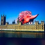 Roger Horstmann - @rogerhorstmann - Instagram