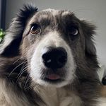 rogervdhorst - @rogervdhorst - Instagram