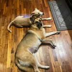 Roger houle - @rogerhoule911 - Instagram