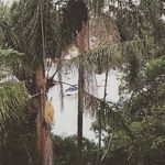 Roger Howe - @howe_roger - Instagram