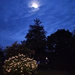 Roger Howe - @rbhowe - Instagram