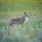 Roger Hoyle - @hoyleroger - Instagram