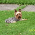 Roger Huggins - @barb.huggins - Instagram