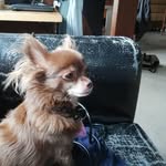 Roger Hummel - @hummel.roger - Instagram