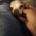 Roger Huskey - Facebook