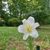 Roger Huskey - Facebook