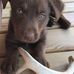Roger Keith Irish - Facebook