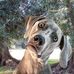 Roger Jacks - Facebook