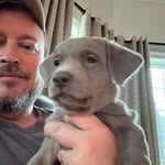 Roger Jinks - @rogerjinks - Instagram