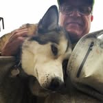 Roger Johnson - @rogerjohnson5148 - Instagram