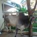 Roger Juarez - Facebook