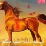 Seif Lebnen - @rogerkaram1 - Instagram